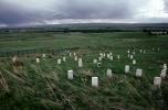 Custers Last Stand, Little Bighorn Battlefield National Monument, PTGV01P04_19