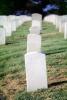 Tombstone, gravesite, Graveyard, PTGV04P07_08