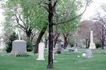 Graceland Cemetery, PTGV05P07_01