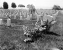 Gravestones, Flowers, Veterans Cemetery