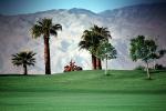 Lawnmower, Mowing a Golf Course, Coachella Valley, California, Palm Trees, PWLV01P01_10
