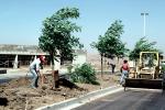 Planting trees, Landscaping, Workers, Front Loader