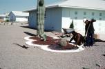 Saguaro Cactus, Workers, Landscaping in the desert, Phoenix, Arizona, PWLV01P09_13