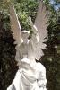 Angel Statue at Immaculate Conception Catholic Church, RCTD01_183