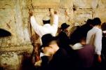 Hassidic Jews Praying at the Prayer Hall, Jerusalem, RCTV04P07_03