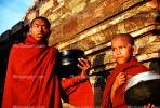 Boy, Monk, man, male, Shwezigon Pagoda, Bagan, RCTV06P13_05
