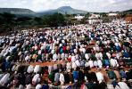 Friday Prayers at Sheikh Hussein, near Gobe, Ethiopia, RCTV06P15_06