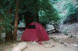 Tent, Big Sur Camground, RVCV01P04_18