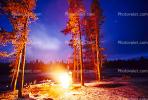 Campfire, Trees, Orange Glow, RVCV01P06_06.2651