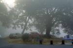 Foggy Morning, Oak Trees, Lake Pillsbury, Mendocino County, RVCV01P11_02