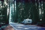Mallard Camper Trailer, Highway One, PCH, Highway 101, Forest, Avenue of the Giants, September 1980