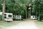 Forest, Trees, Road, FLAIR Motorhome, Bay Center KOA Camground, Washington, August 1994