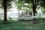 Station Wagon, Rambler, Trailer, Grass, Cars, vehicles, 1960s