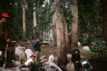 Men Camping, forest, hiking, 1950s, RVCV02P11_09