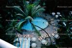 Swimming Pool, Palm tree, parasol, RVHV03P13_17