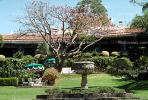 Gardens, Trees, Las Mananitas Hotel