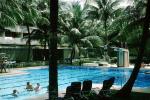 Swimming Pool, Poolside, Water, Palm Trees, Exterior, Outside, Swimmers, RVHV05P11_13