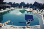 Swimming Pool, Diving Board, Poolside, Hilton, Water, Trees, Exterior, Outside, Istanbul Hotel, 1960s, RVHV05P11_15