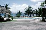 Pool, Palm Trees, Ocean, Parasol, Empty, RVHV05P12_14