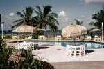 Empty, Pool, Poolside, Grass Thatched Parasol, Tables, Palm Trees, 1950s, Sod, RVHV05P12_15
