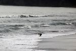 Beach, sand, coast, coastline, coastal, shore, Stinson Beach, Marin County, RVLD02_206