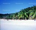 Beach, Sand, Palm Trees, Carribean Beach Club, Saint Johns Antigua, 1968, 1960s, RVLV01P04_05