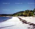 Beach, Sand, Palm Trees, Carribean Beach Club, Saint Johns Antigua, 1968, 1960s, RVLV01P04_06