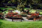 Park, Garden, Roses, grass, Chester England, 1968, 1960s, RVLV01P04_08.2653