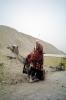 Man on a Camel, Dromedary Camel, (Camelus dromedarius), Camelini, RVLV01P07_18
