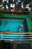 Swimming Pool on a ship, RVLV01P09_08