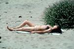 Bikini Lady Sunning on the Beach