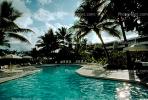 Palm Trees, poolside, hotel, RVLV01P10_07.2653