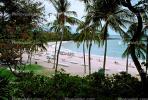 palm tree, beach, sand, sandy, water, Pacific Ocean in Maui, RVLV01P10_13.2653