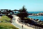 Bike Path on the Coastline of Monterey, 1980s, RVLV01P13_17.2653