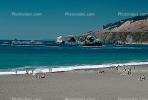Beach, Sand, Pacific Ocean, Goat Rock State Beach, Sonoma County Coastline, Jenner, RVLV02P11_16.2654