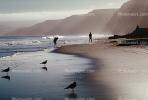 pacific ocean, water, beach, sand, birds, Drakes Bay, RVLV03P07_17.2654