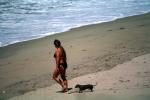 dachshund, Wiener Dog, small dog breed, Seal Beach, southern California, RVLV04P04_01