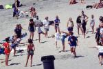 Sun Worshippers, Crowded Beach, summer, Sand, Umbrellas, Parasol, Del Mar, RVLV05P03_11