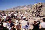 Crowds, Mojave Desert, California, RVLV05P05_10