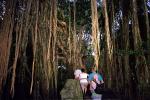 Monkey Forest, Ubud, Bali, RVLV05P06_10