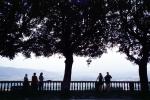 People at an Overlook, tree