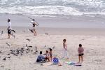Beach, small waves, Shoreline, Atlantic Ocean, Sand, Water, Nags Head, Kitty Hawk, Outer Banks, RVLV05P14_14