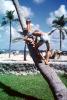 Boys climbing a Palm Tree, 1960s, RVLV06P03_11
