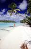 beach, sand sun, ocean, water, palm trees, Aitutaki, Cook Islands, RVLV06P14_02