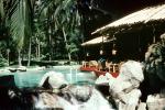 Pond, Swans, Trees, rocks, poolside cafe, jungle, Acapulco Princess Hotel