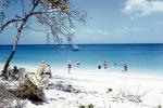 tropical beach, sand, water, tree, Grande Anse Beach, Grenada, 1979, 1970s