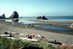 Driftwood, Beach, Sand, Ocean, Brooking, Oregon, RVLV07P12_05