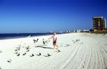 Beach, Sand, Ocean, Man, Birds, building, seagulls