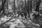 Forest, Woods, Picnic, 1950s, RVLV08P04_11