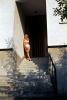 Bikini Lady standing, Steps, Stairs, 1960s, RVLV08P12_04